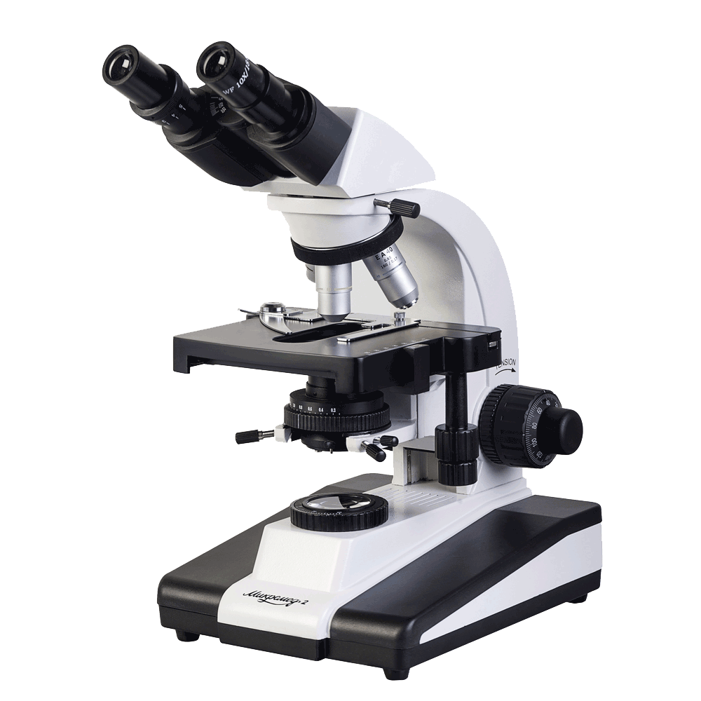 Microscope