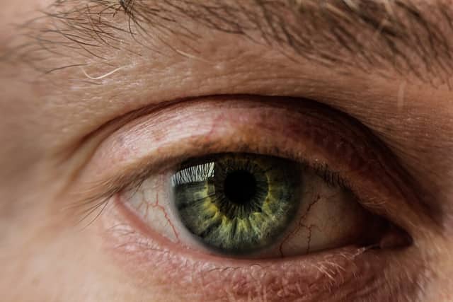 A close-up of a human eye: a green-brown iris around a black pupil, with eyelashes above.
