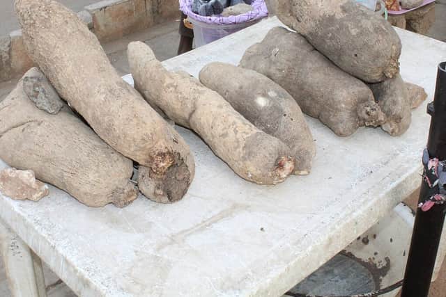 Large brown yam tubers piled on a white table at a market.