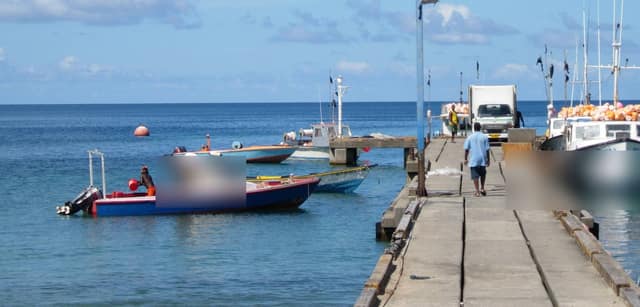 Fishing boats moored beside a long wooden jetty in Grenada, with a truck waiting at the end and calm blue sea beyond.