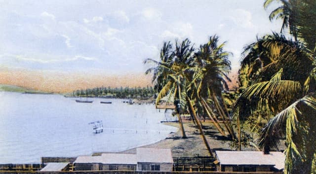 An old coloured postcard of Kingston Harbour, Jamaica: palm trees leaning over the shore, warehouses along the waterfront and small boats in the bay.